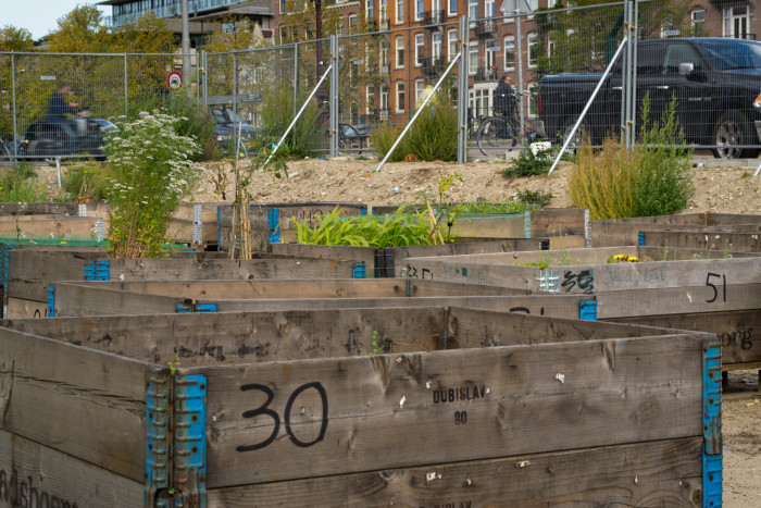 Urban_agriculture_in_Amsterdam
