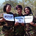 Mulheres Salvam Rinocerontes