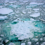 Protect the Antarctic Ocean